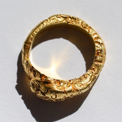 Ouróboro Ring